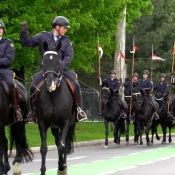 A cavalcade of black horses and riders in RCMP uniform trot on a city street.