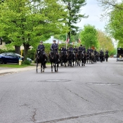 A cavalcade of black horses and riders in RCMP uniform trot on a residential street.